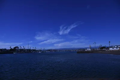 DSC_0811 (Large).JPG